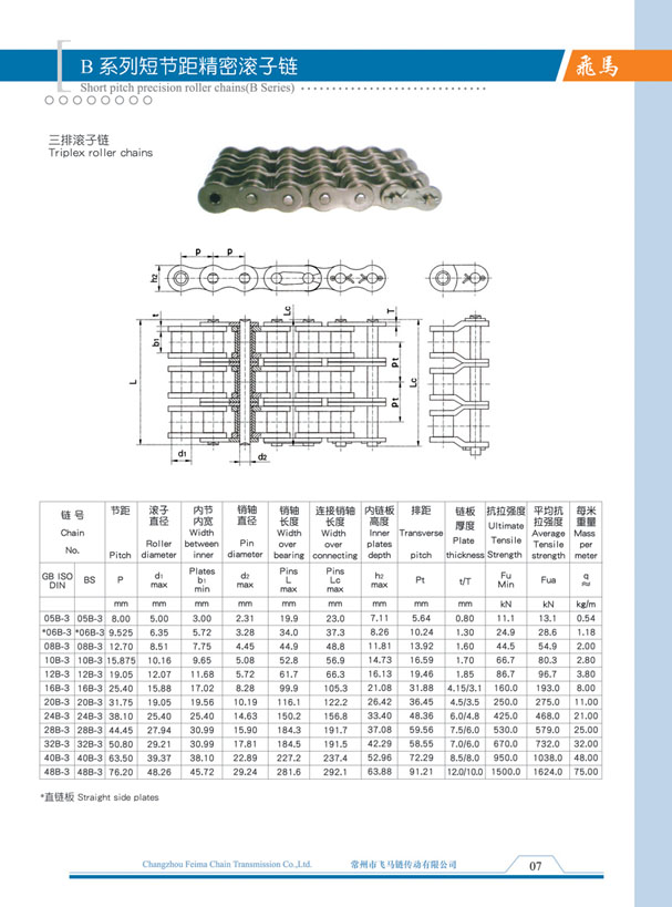 B series of short pitch precision roller chain