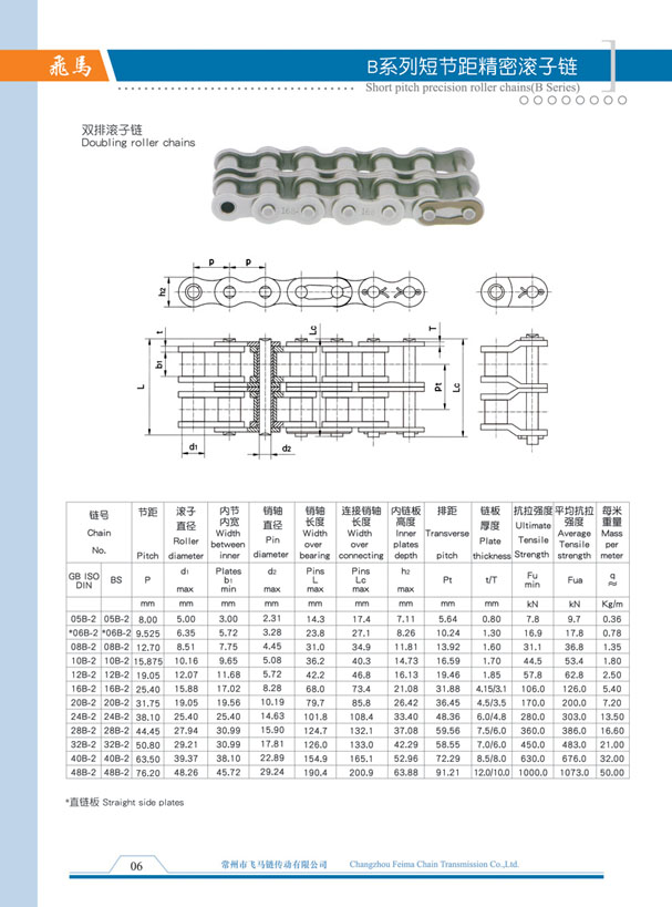 B series of short pitch precision roller chain